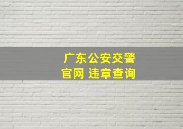 广东公安交警官网 违章查询